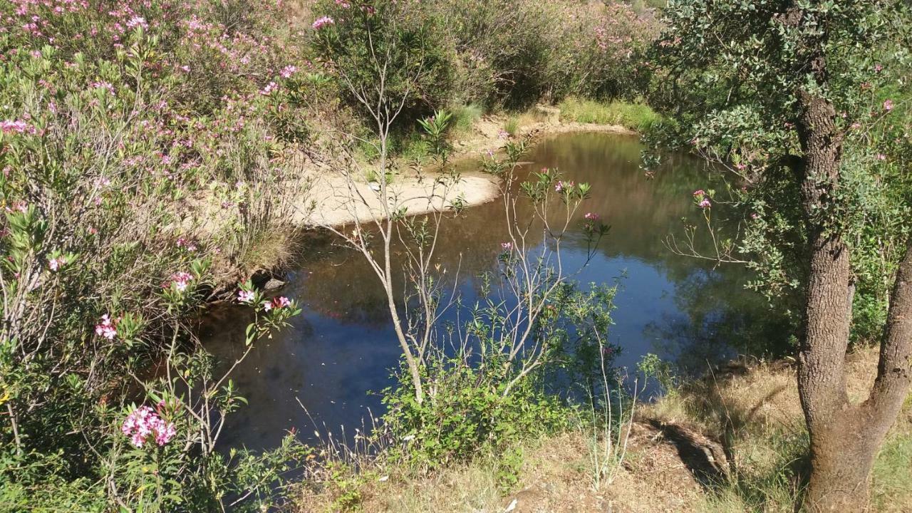 Vila Verde de FicalhoAgroturismo Flores Do Campo别墅 外观 照片